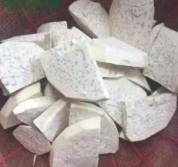 Khoai Môn Lệ Phố Là Gì? Đặc Điểm, Nguồn Gốc Và Cách Làm