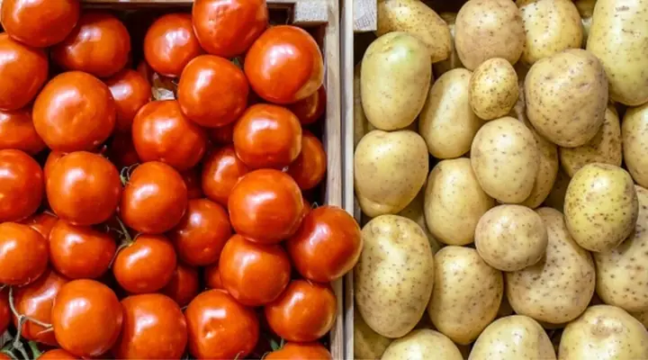 Khoai Tây Xào Cà Chua Có Độc Không? Giải Đáp Thắc Mắc Và Lưu Ý Sức Khỏe Khoai Tây Xào Cà Chua Có Độc Không? Giải Đáp Thắc Mắc Và Lưu Ý Sức Khỏe