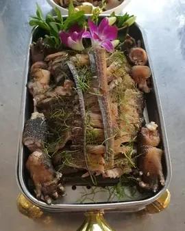 Kỳ Đà Núi: Top Món Ngon Chế Biến Độc Đáo Cho Bữa Tiệc Đặc Sản