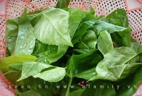 Cách Nấu Canh Thịt Gà Với Lá Cách Thơm Ngon, Chuẩn Vị Miền Tây