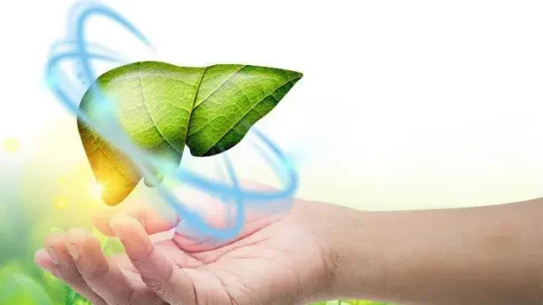 Lá Cách Là Lá Gì? Tên Gọi Khác Và Công Dụng Ít Ai Biết