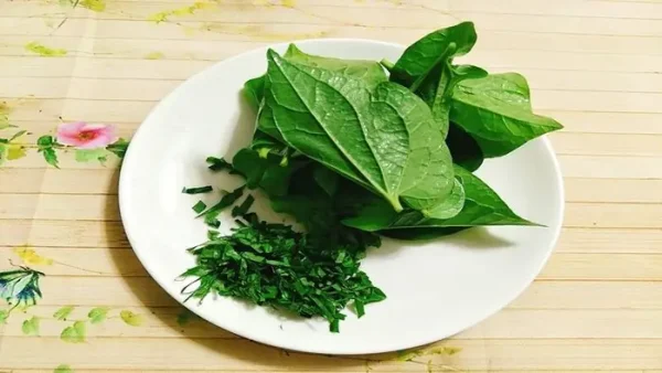 Lá Lốt Ăn Sống Được Không? Tác Dụng, Lưu Ý Và Cách Dùng An Toàn