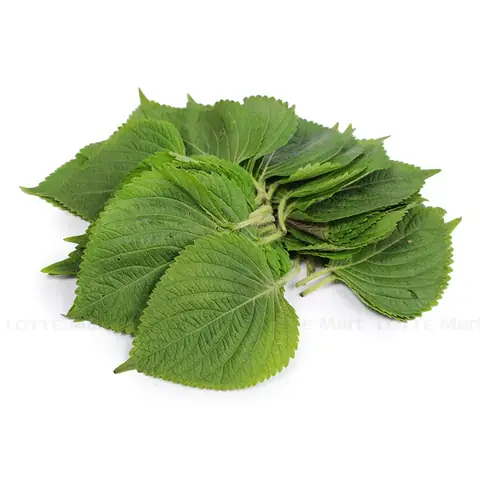 Mua Lá Mè Ở Đâu: Địa Chỉ Các Cửa Hàng Và Siêu Thị Uy Tín Mua Lá Mè Ở Đâu: Địa Chỉ Các Cửa Hàng Và Siêu Thị Uy Tín