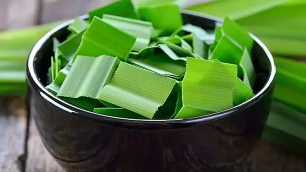 Lá Nếp Và Lá Dứa: Phân Biệt, Công Dụng Và Cách Sử Dụng Hiệu Quả