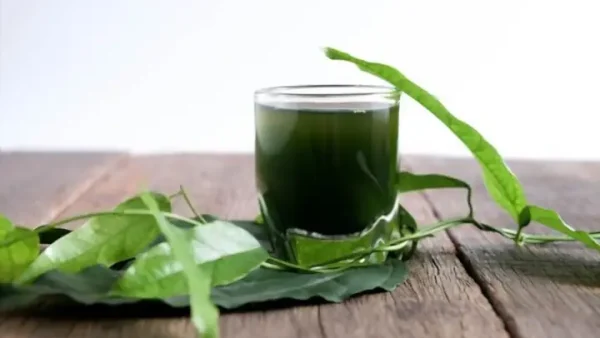 Lá Sâm Là Lá Gì? Khám Phá Đặc Điểm, Công Dụng Và Cách Sử Dụng