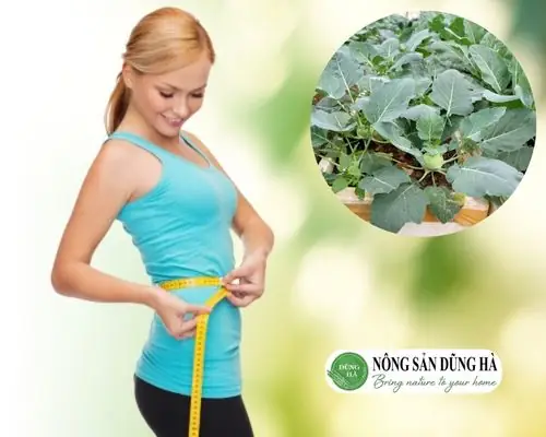 Lá Su Hào Ăn Được Không? Giá Trị Dinh Dưỡng Và Cách Chế Biến