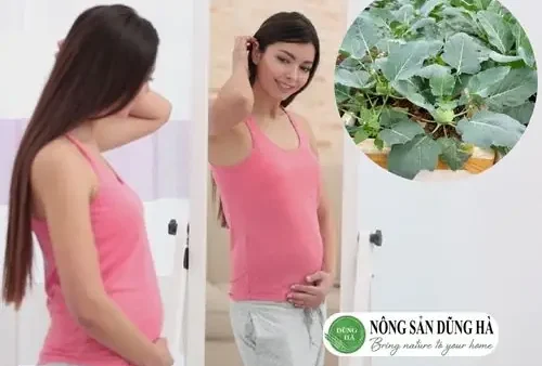 Lá Su Hào Ăn Được Không? Giá Trị Dinh Dưỡng Và Cách Chế Biến