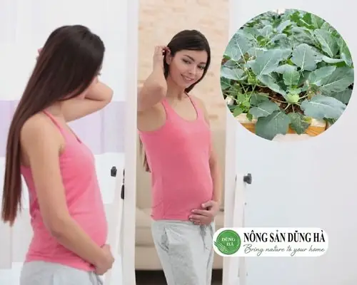 Lá Su Hào Ăn Được Không? Giá Trị Dinh Dưỡng Và Cách Chế Biến