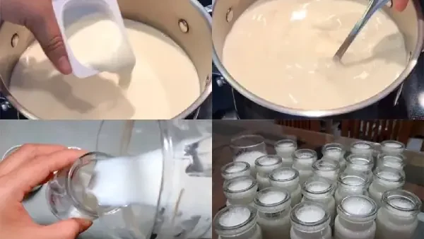 Cách Làm Sữa Chua Từ Sữa Tươi Không Đường: Công Thức Chuẩn Ngon, Mịn Màng Tại Nhà