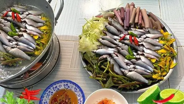 Cách Nấu Lẩu Cá Linh Bông Điên Điển Cần Thơ Chuẩn Vị Mùa Nước Nổi Cách Nấu Lẩu Cá Linh Bông Điên Điển Cần Thơ Chuẩn Vị Mùa Nước Nổi