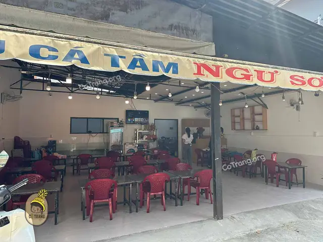 Lẩu Cá Tầm Ngư Sơn Đà Lạt: Địa Chỉ, Review & Kinh Nghiệm Ăn Ngon Lẩu Cá Tầm Ngư Sơn Đà Lạt: Địa Chỉ, Review & Kinh Nghiệm Ăn Ngon