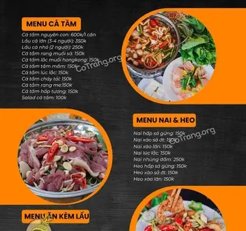 Lẩu Cá Tầm Ngư Sơn Đà Lạt: Địa Chỉ, Review & Kinh Nghiệm Ăn Ngon