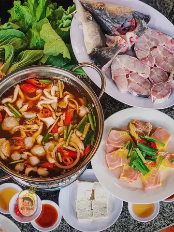 Lẩu Cá Tầm Ngư Sơn Đà Lạt: Địa Chỉ, Review & Kinh Nghiệm Ăn Ngon Lẩu Cá Tầm Ngư Sơn Đà Lạt: Địa Chỉ, Review & Kinh Nghiệm Ăn Ngon