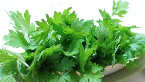 Lẩu Gà Ăn Với Rau Gì Ngon Nhất? Gợi Ý Rau Phù Hợp Từng Loại Lẩu