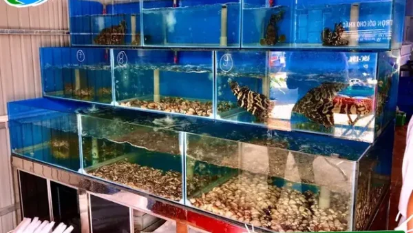 Top Quán Lẩu Hải Sản Đà Lạt Ngon, Tươi Sống & Review Chi Tiết Nhất 2024