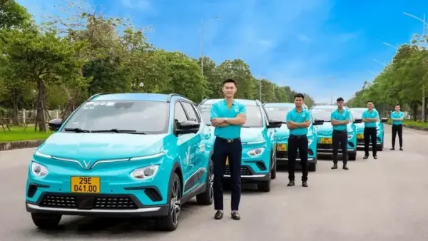 Lẩu Khổ Qua Cá Thác Lác TPHCM: Top Quán Ngon & Bí Quyết Thưởng Thức Chuẩn Vị