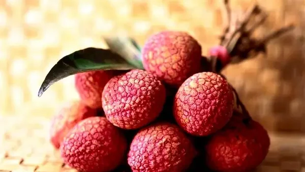 Lệ Chi Là Quả Gì? Nguồn Gốc, Đặc Điểm Và Ý Nghĩa Tên Gọi