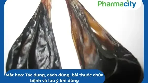 Mắt Heo Có Tác Dụng Gì? Giải Đáp Quan Niệm Dân Gian Và Khoa Học