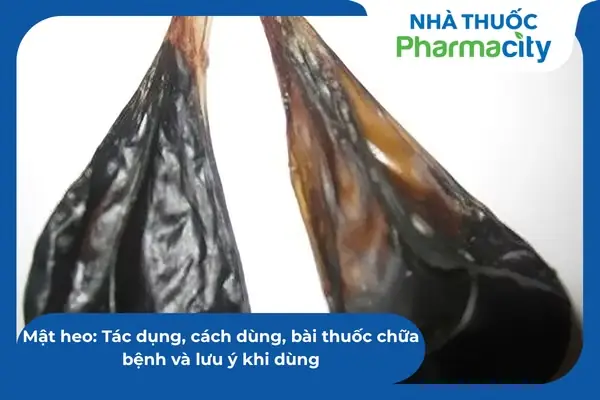 Mắt Heo Có Tác Dụng Gì? Giải Đáp Quan Niệm Dân Gian Và Khoa Học Mắt Heo Có Tác Dụng Gì? Giải Đáp Quan Niệm Dân Gian Và Khoa Học