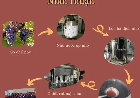 Mật Nho Có Tác Dụng Gì? Khám Phá Lợi Ích Sức Khỏe Tuyệt Vời