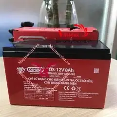 Top Máy Trứng Cuộn Xúc Xích 10 Ống Điện, Gas Bán Chạy Nhất: Review Chi Tiết, Giá Tham Khảo & Cách Làm Chuẩn Vị