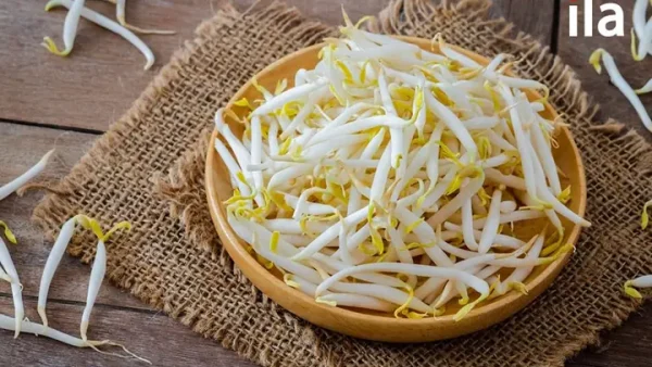 Mì Tương Đen Tiếng Anh Là Gì? Tên Gọi & Thông Tin Chi Tiết Nhất