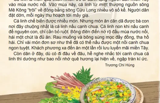 Khám Phá Top 10 Món Ngon Mùa Nước Nổi Miền Tây Hấp Dẫn Nhất