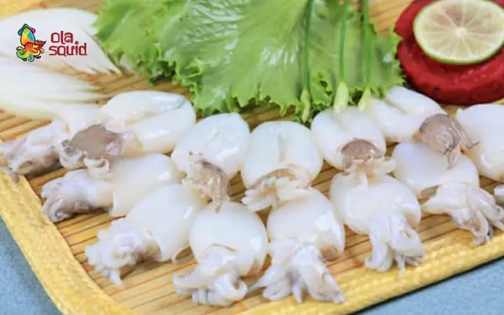 Mực Bầu Là Mực Gì? Đặc Điểm, Cách Nhận Biết Và Các Món Ngon Phổ Biến Mực Bầu Là Mực Gì? Đặc Điểm, Cách Nhận Biết Và Các Món Ngon Phổ Biến