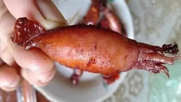 Mực Sim Là Mực Gì? Đặc Điểm, Phân Biệt Và Các Món Ngon Hấp Dẫn