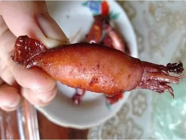 Mực Sim Là Mực Gì? Đặc Điểm, Phân Biệt Và Các Món Ngon Hấp Dẫn Mực Sim Là Mực Gì? Đặc Điểm, Phân Biệt Và Các Món Ngon Hấp Dẫn