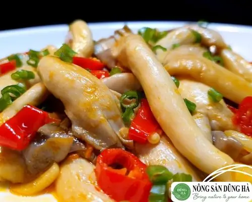 Nấm Bào Ngư Kỵ Với Gì? Những Thực Phẩm Nên Tránh Và Lưu Ý Khi Ăn Nấm Bào Ngư Kỵ Với Gì? Những Thực Phẩm Nên Tránh Và Lưu Ý Khi Ăn