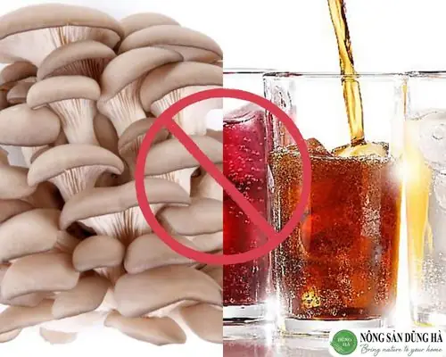 Nấm Bào Ngư Kỵ Với Gì? Những Thực Phẩm Nên Tránh Và Lưu Ý Khi Ăn Nấm Bào Ngư Kỵ Với Gì? Những Thực Phẩm Nên Tránh Và Lưu Ý Khi Ăn
