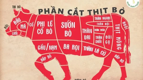 Nầm Bò Là Gì? Đặc Điểm, Cách Nhận Biết Và Những Món Ngon Phổ Biến