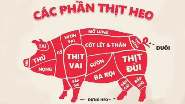 Nầm Heo Là Bộ Phận Nào Của Con Heo? Định Nghĩa, Đặc Điểm Và Công Dụng
