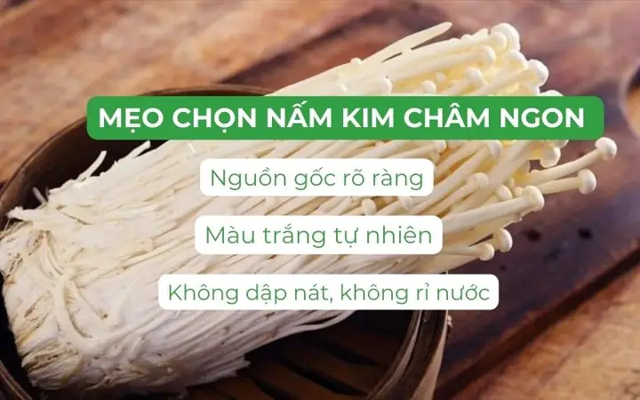 Nấm Kim Châm Giá Bao Nhiêu? Cập Nhật Giá, Địa Chỉ Mua Và Mẹo Chọn Tươi Ngon Nấm Kim Châm Giá Bao Nhiêu? Cập Nhật Giá, Địa Chỉ Mua Và Mẹo Chọn Tươi Ngon