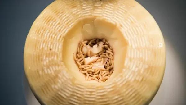 Khám Phá Những Món Ăn Kỳ Lạ Trên Thế Giới: Danh Sách, Nguồn Gốc Và Mức Độ Thử