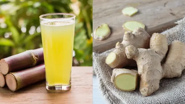 Nước Mía Lau Có Tác Dụng Gì? Khám Phá Lợi Ích Thanh Nhiệt, Giải Độc Và Bồi Bổ Sức Khỏe