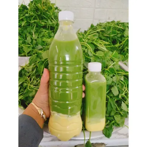 Nước Rau Má Đóng Chai: Lợi Ích, Cách Chọn Và Địa Điểm Mua Uy Tín Nước Rau Má Đóng Chai: Lợi Ích, Cách Chọn Và Địa Điểm Mua Uy Tín