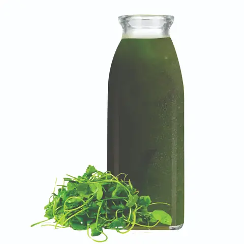 Nước Rau Má Đóng Chai: Lợi Ích, Cách Chọn Và Địa Điểm Mua Uy Tín Nước Rau Má Đóng Chai: Lợi Ích, Cách Chọn Và Địa Điểm Mua Uy Tín