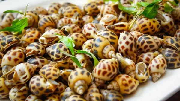 Cách Nướng Ốc Hương Bằng Nồi Chiên Không Dầu Thơm Ngon Đơn Giản Tại Nhà