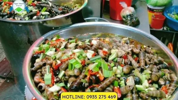 12 Quán Ốc Hút Ngon Ở Đà Nẵng: Địa Chỉ, Nổi Bật Và Giá Bình Dân