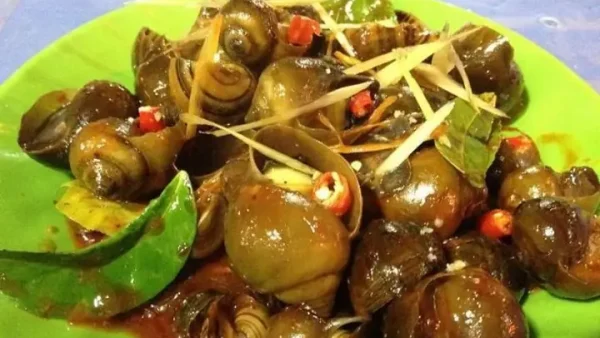Phân Biệt Ốc Mít Và Ốc Nhồi: Khác Nhau Gì Và Loại Nào Ngon Hơn?