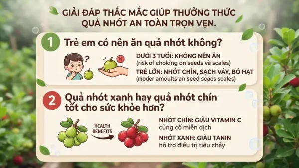 Quả Nhót Có Tác Dụng Gì? Lợi Ích Sức Khỏe, Bài Thuốc Và Cách Dùng