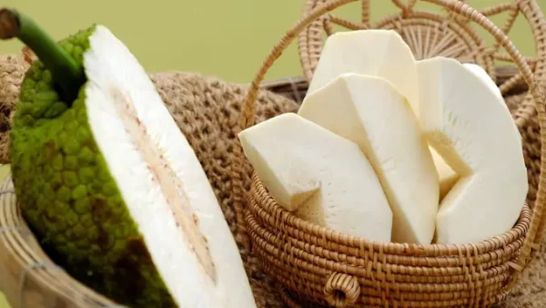 Quả Sake Có Tác Dụng Gì? Lợi Ích Sức Khỏe & Cách Dùng Tốt Nhất