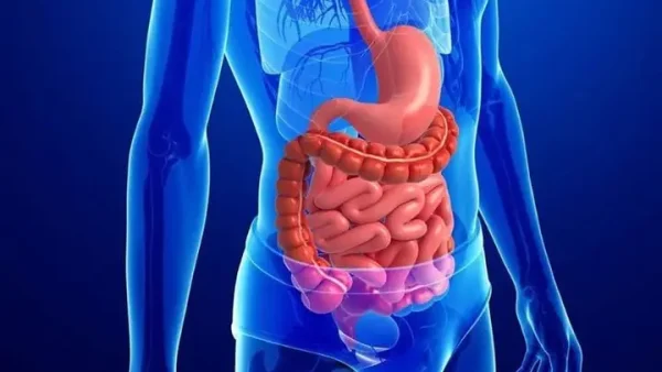 Quả Sơ Ri Miền Nam: Công Dụng Tuyệt Vời, Cách Dùng Và Nơi Trồng Phổ Biến