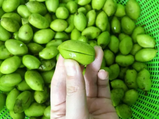 Quả Trám Xanh: Tác Dụng Bổ Ích Cho Sức Khỏe Và Các Bài Thuốc Dân Gian Quả Trám Xanh: Tác Dụng Bổ Ích Cho Sức Khỏe Và Các Bài Thuốc Dân Gian