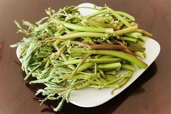 Rau Ăn Lẩu Mắm Miền Tây: Tuyển Tập Các Loại Tươi Ngon Chuẩn Vị Rau Ăn Lẩu Mắm Miền Tây: Tuyển Tập Các Loại Tươi Ngon Chuẩn Vị