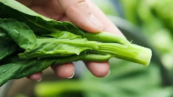 Rau Cải Ngồng Lạng Sơn: Đặc Sản Xứ Lạng Ngon Khó Cưỡng, Mua Ở Đâu Uy Tín?