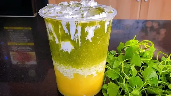 Rau Má Nước Dừa Có Tác Dụng Gì? Lợi Ích, Cách Làm & Lưu Ý