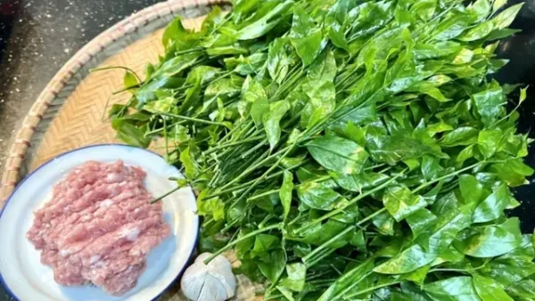 Khám Phá Rau Ngót Rừng Cao Bằng: Đặc Điểm, Cách Nấu Và Giá Trị Dinh Dưỡng